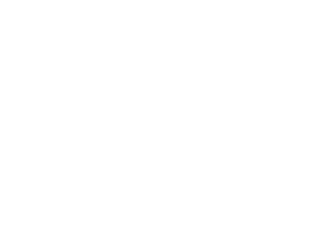 zum medya
